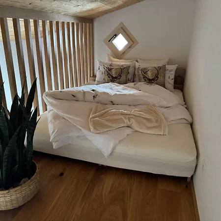 Casa Ladina 4 * Falera