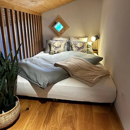 Casa Ladina 4 Apartman Falera