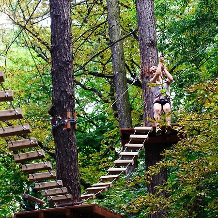 Casa Ladina 4 * Falera